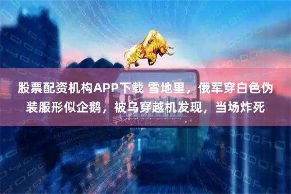 股票配资机构APP下载 雪地里，俄军穿白色伪装服形似企鹅，被乌穿越机发现，当场炸死